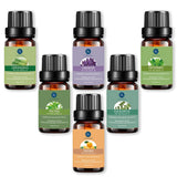 Lagunamoon Pure Essential Oils 10ML 6pcs Gift Set Humidifier Aromatherapy Eucalyptus Papermint Lemongrass Orange Tea Tree Oil