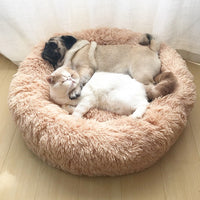 Super Soft Pet Bed