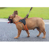 New Pets Dog Harness Vest Reflective Tape Breathable Mesh Pet Dogs Leash Harness - ModernFamilyStuff